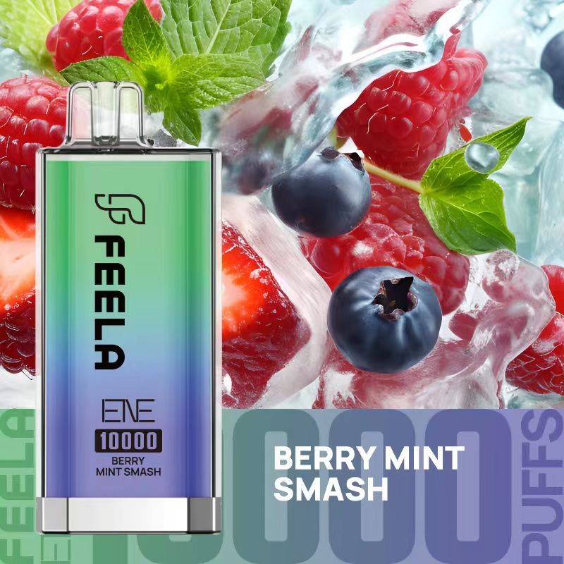 Feela ENE/Elux 10000 Disposable Vape Puff Bar berry mint smash