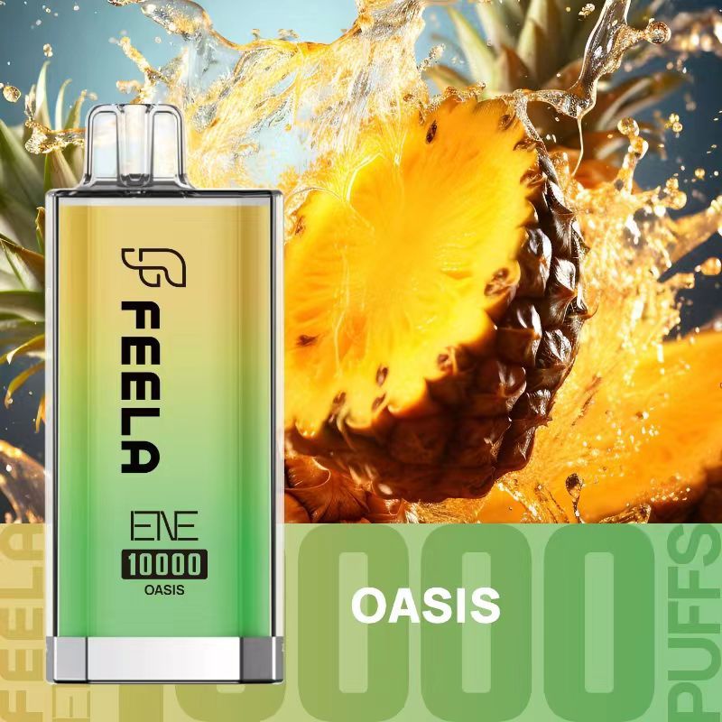 Feela ENE/Elux 10000 Disposable Vape Puff Bar oasis