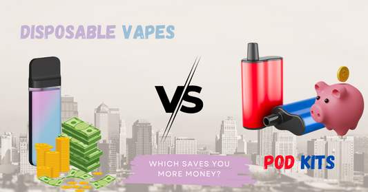 Disposable Vapes vs Pod Kits in 2025