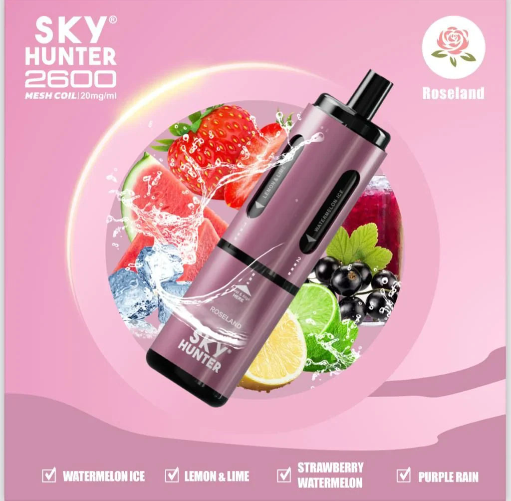 sky Hunter 2600 vape Pink Device Vape