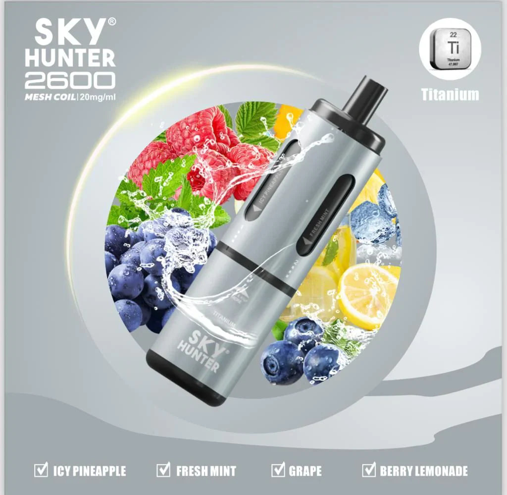 Sky Hunter 2600 Puffs Disposable Vape Pod