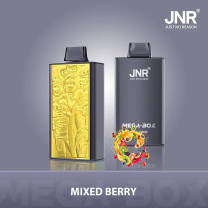 JNR Mega Box 25000 Puffs Disposable Vape (BOX OF 10)