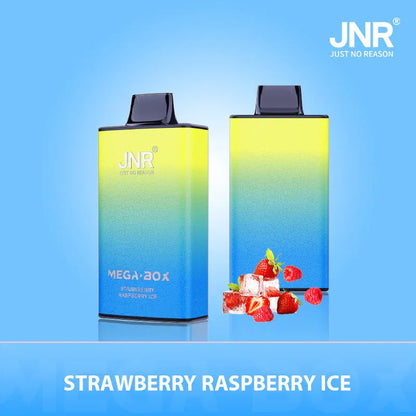 JNR Mega Box 25000 Puffs Disposable Vape (BOX OF 10)