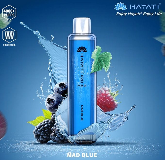 Hayati Pro Max 4000 Disposable Vape (Buy 5 Boxes )