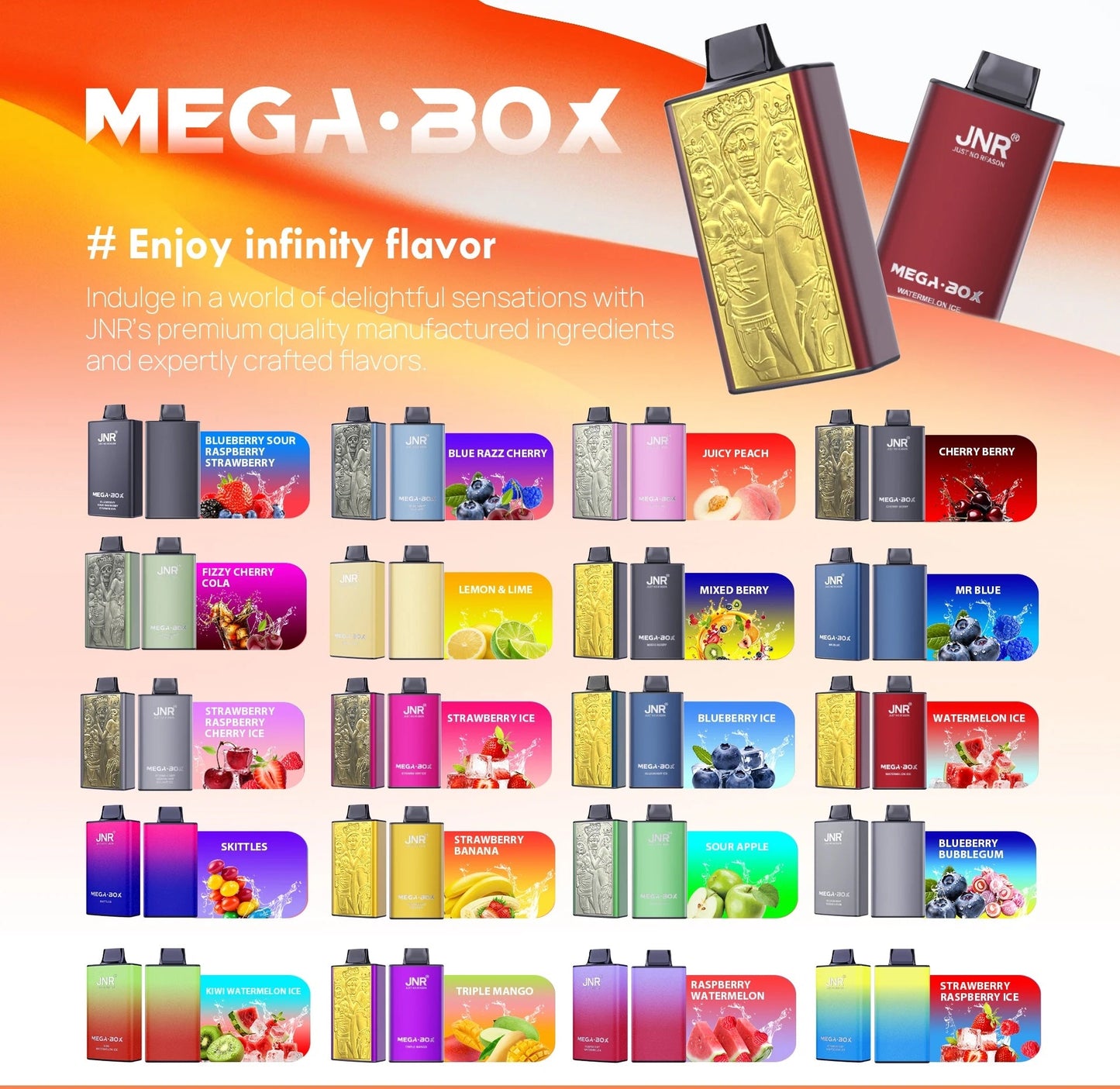 JNR Mega Box 25000 Puffs Disposable Vape | JNR Vape