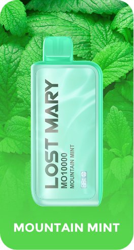 Lost Mary 10000 Puffs Disposable Vape Pod